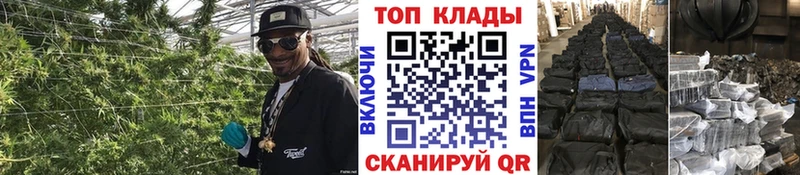 ГАШ Волгореченск