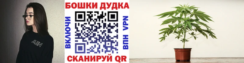 Купить наркотики сайты Волгореченск АМФ  БУТИРАТ  ГАШ  Канабис  КОКАИН 
